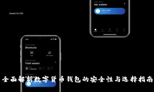 全面解析数字货币钱包的安全性与选择指南