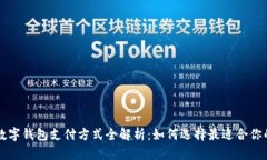 中国主流数字钱包支付方
